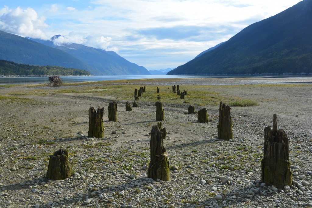 The other half of Skagway's history is its sister town of Dyea which didn't survive the loss of gold - these old pier posts are all that remains of their town