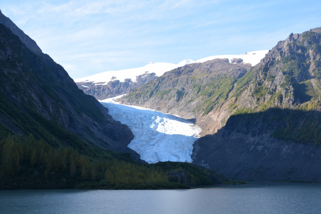 The 60 km Glacier Highway to Steward was appropriate lined with glaciers, including Bear Glacier which came down to road level