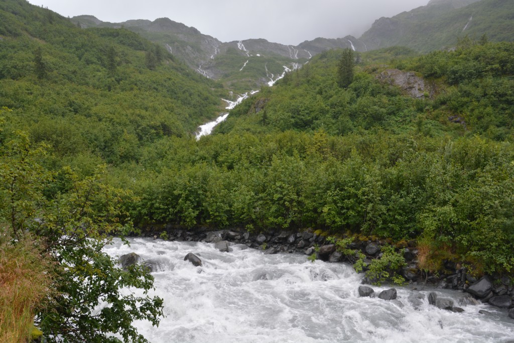 One good thing about all the rain is that we get some great waterfall scenes and the rivers are all rushing fast and furious