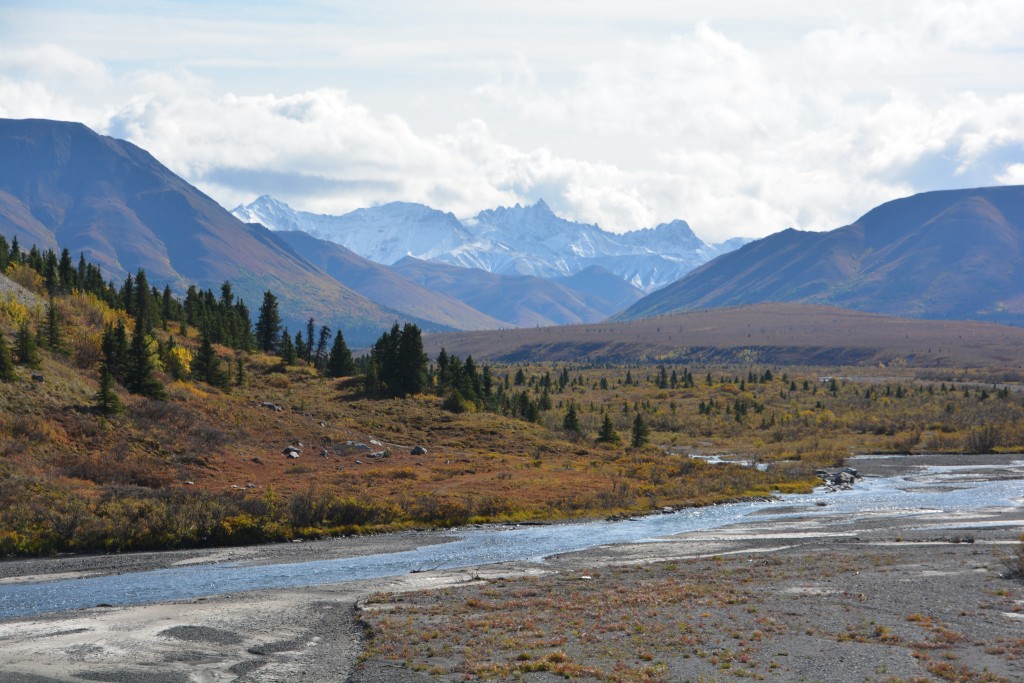 The Savage River in Denali with snow-capped mountains in the background