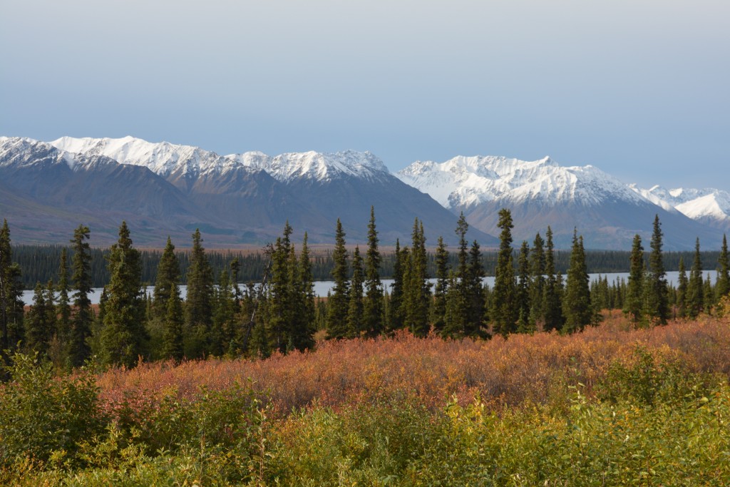 With views like this every mile was a winner