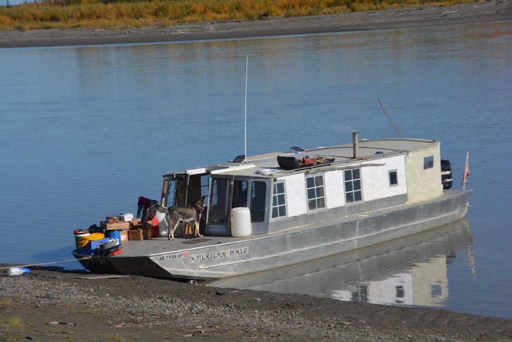 The Yukon is home to many different forms of life, including people