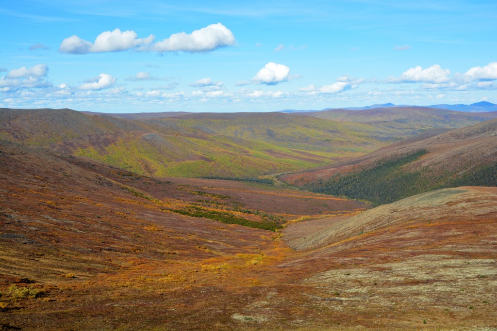 We climbed to the top of a small hill near Eagle Summit and were rewarded with all these magnificent colours of alpine tundra