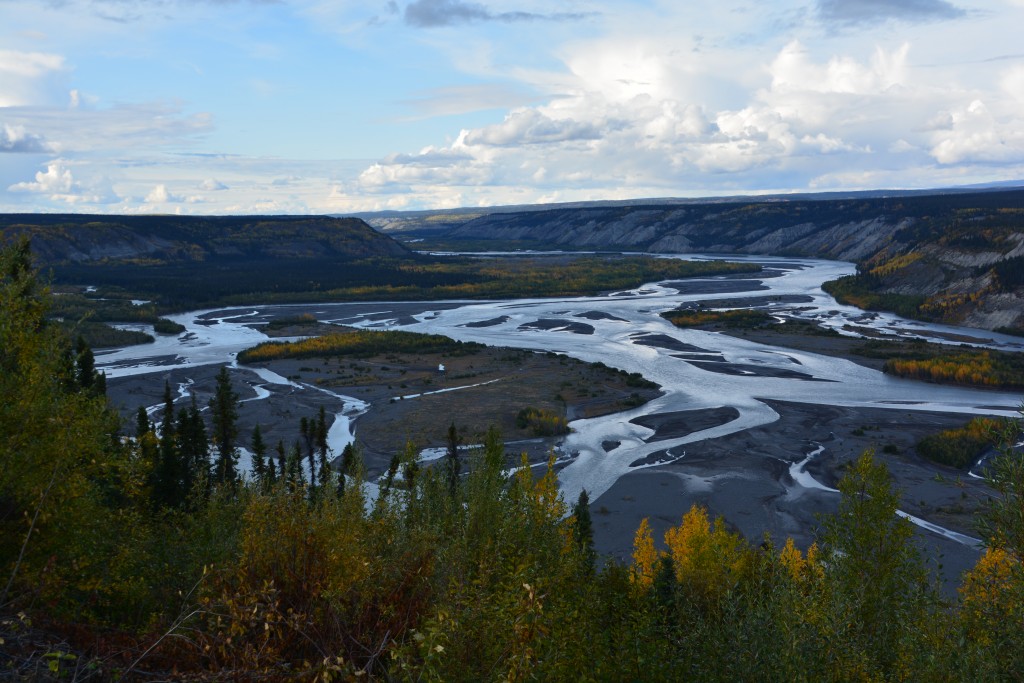 The Copper River spread out across its broad plain, the different channels braiding their way through the gravel
