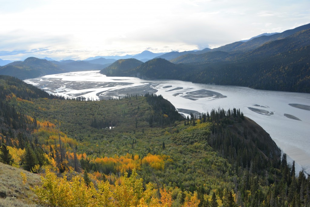 Glorious views of the Chitina River spanning out in the valley below