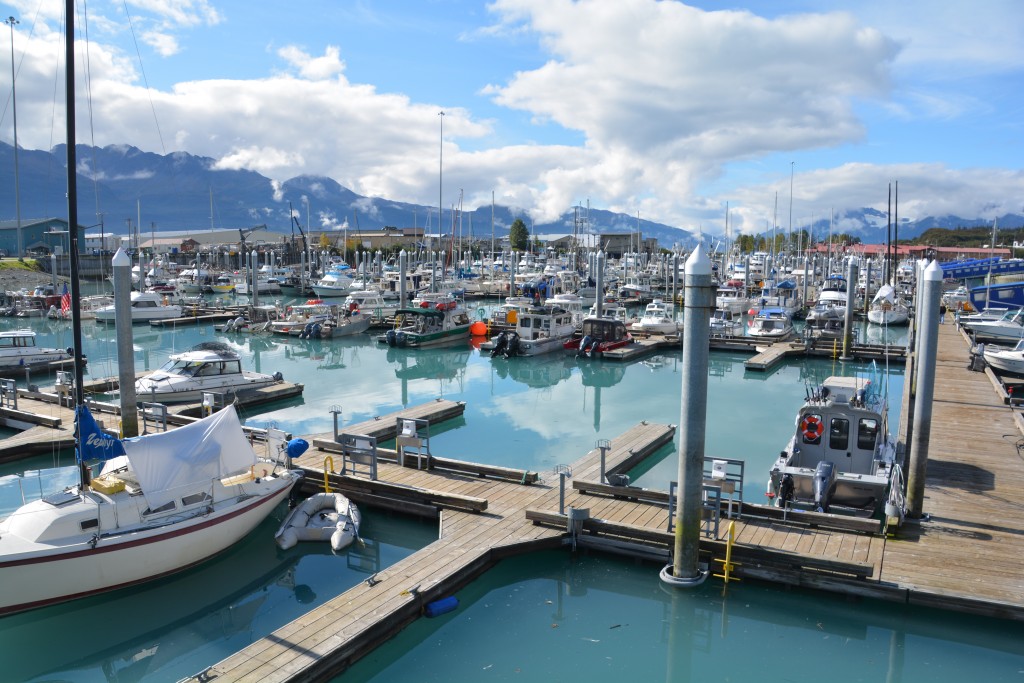 The Valdez harbour, a very lively and colourful place