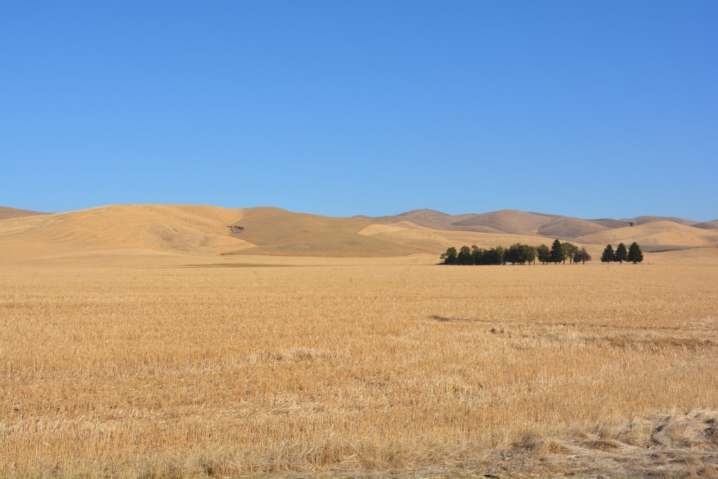 The countryside in Idaho really started to open up and featured beautiful brown rolling hills