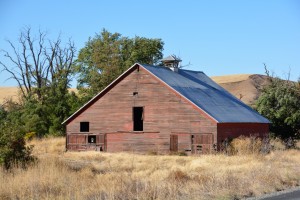 Who wouldn't be at least a little barn shy with great old barns like this?