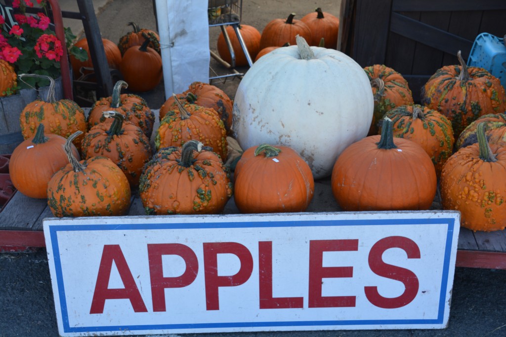 Something about this scene just wasn't right