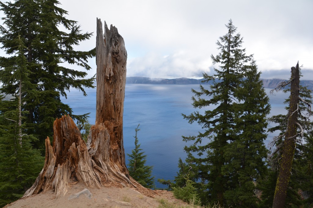 Crater Lake fills the caldera and creates an almost perfect crystal clear blue 