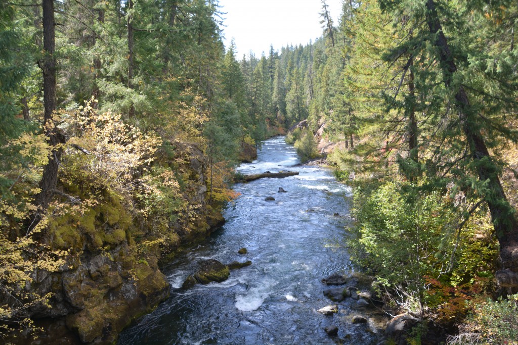 The Rogue River which also features an underground passage through an ancient lava tube