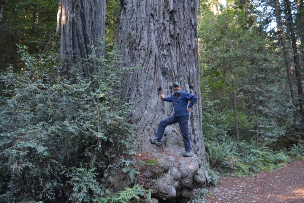 These boys are big and old, putting our small lives into perspective