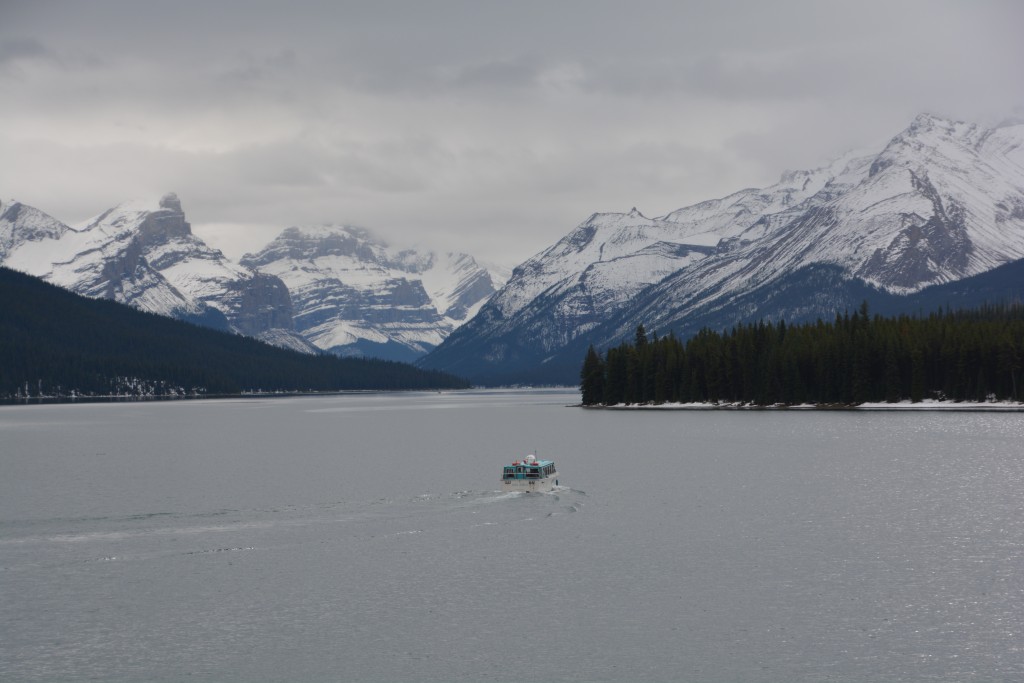 Maligne Lake in Jasper NP is one of the big draw cards but on this grey drizzly day we opted out of the popular touristy boat tour