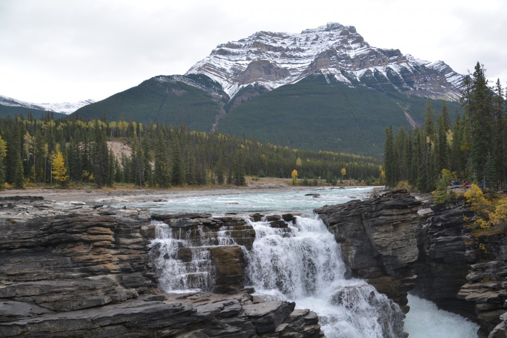 First stop on the Icefield Parkway - cascading waterfalls and snow-peaked mountains