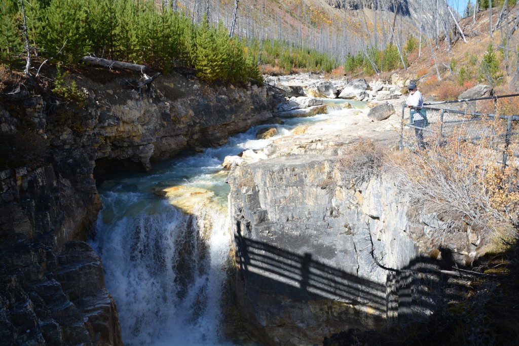 Julie is checking out a series of small waterfalls in the very cool marble canyon