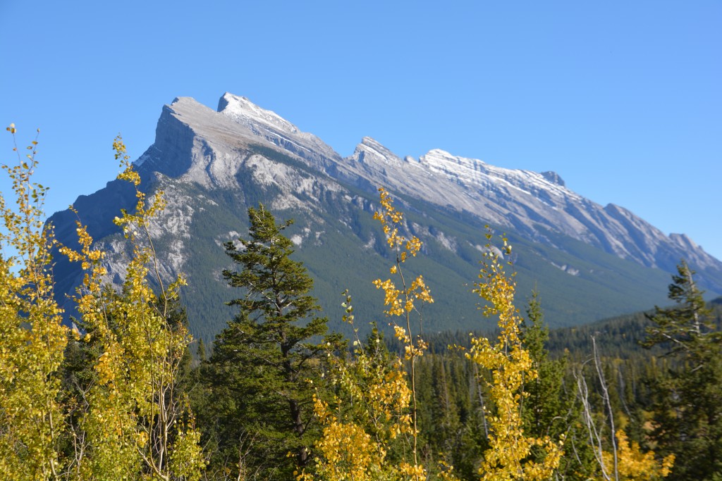 Mt. Rundle strikes a stunning pose from the town of Banff