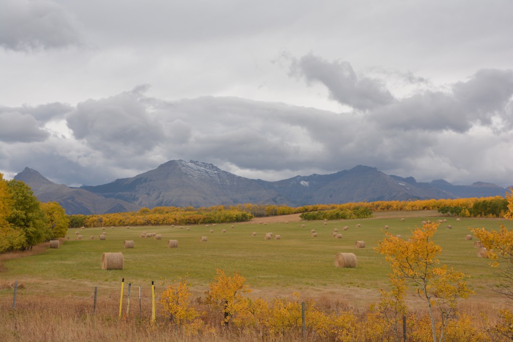 The edge of Waterton Lakes National Park is a beautiful place to have a ranch
