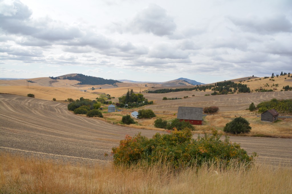 We loved the countryside of eastern Washington